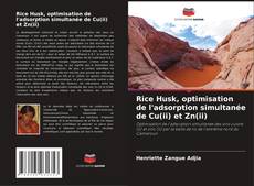 Rice Husk, optimisation de l'adsorption simultanée de Cu(ii) et Zn(ii) kitap kapağı