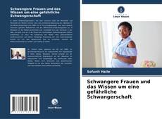 Bookcover of Schwangere Frauen und das Wissen um eine gefährliche Schwangerschaft