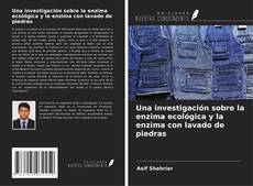Bookcover of Una investigación sobre la enzima ecológica y la enzima con lavado de piedras