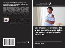 Portada del libro de Las mujeres embarazadas y sus conocimientos sobre los signos de peligro del embarazo