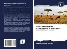 Couverture de Семантические изменения в лингале
