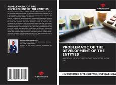 Buchcover von PROBLEMATIC OF THE DEVELOPMENT OF THE ENTITIES