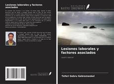 Buchcover von Lesiones laborales y factores asociados