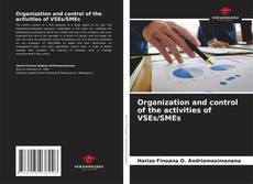 Buchcover von Organization and control of the activities of VSEs/SMEs