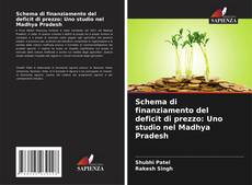 Copertina di Schema di finanziamento del deficit di prezzo: Uno studio nel Madhya Pradesh