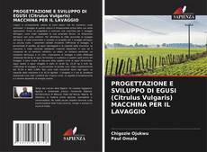 PROGETTAZIONE E SVILUPPO DI EGUSI (Citrulus Vulgaris) MACCHINA PER IL LAVAGGIO的封面