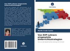 Von EVP-Lehrern eingesetzte Unterrichtsstrategien kitap kapağı