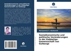 Portada del libro de Sozioökonomische und politische Veränderungen in der Kabbaliga-Gemeinschaft von Gulbarga