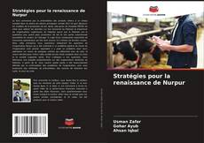 Buchcover von Stratégies pour la renaissance de Nurpur