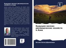 Buchcover von Будущее мелких рисоводческих хозяйств в Азии
