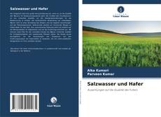Portada del libro de Salzwasser und Hafer