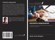 Iniciativa empresarial kitap kapağı