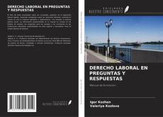 Buchcover von DERECHO LABORAL EN PREGUNTAS Y RESPUESTAS