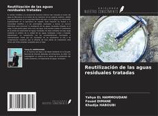 Reutilización de las aguas residuales tratadas kitap kapağı