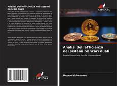 Copertina di Analisi dell'efficienza nei sistemi bancari duali