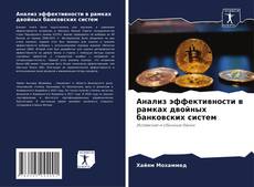Copertina di Анализ эффективности в рамках двойных банковских систем