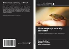 Fisioterapia prenatal y postnatal kitap kapağı