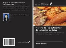 Bookcover of Mejora de los nutrientes de la harina de trigo