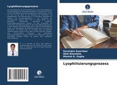 Обложка Lyophilisierungsprozess