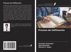 Bookcover of Proceso de liofilización