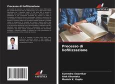 Processo di liofilizzazione kitap kapağı