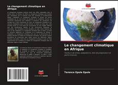 Buchcover von Le changement climatique en Afrique