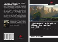 Bookcover of The forest of Oulèd Khlouf (Massif des Maâdhid, Algeria)