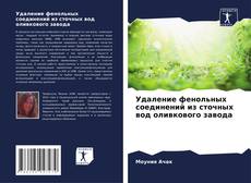 Capa do livro de Удаление фенольных соединений из сточных вод оливкового завода 