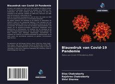 Bookcover of Blauwdruk van Covid-19 Pandemie