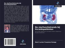 De nierfunctietrends bij hiv/aidspatiënten的封面