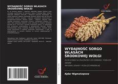 Copertina di WYDAJNOŚĆ SORGO WLASACHŚRODKOWEJ WOŁGI