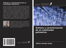 Capa do livro de Síntesis y caracterización de un catalizador polimérico 