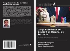 Portada del libro de Carga Económica del Covid19 en Hospital de Terciario
