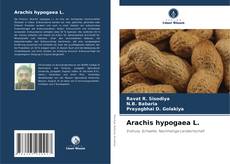 Buchcover von Arachis hypogaea L.