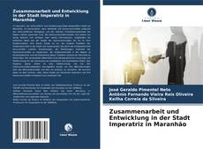 Buchcover von Zusammenarbeit und Entwicklung in der Stadt Imperatriz in Maranhão