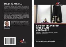 EXPLOIT NEL DIRITTO GIUDIZIARIO CONGOLESE kitap kapağı