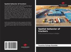 Обложка Spatial behavior of truckers