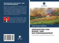 INTEGRATION VON RISIKO- UND KULTURMANAGEMENT的封面