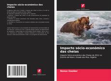 Couverture de Impacto sócio-económico das cheias