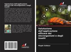 Bookcover of Valutazione dell'applicazione efficace dei microrganismi e degli insetti