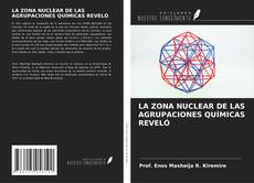 Обложка LA ZONA NUCLEAR DE LAS AGRUPACIONES QUÍMICAS REVELÓ