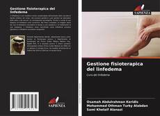 Buchcover von Gestione fisioterapica del linfedema
