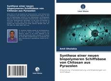 Portada del libro de Synthese einer neuen biopolymeren Schiffsbase von Chitosan aus Pyrazolen