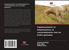 Bookcover of Supplémentation en butaphosphane et cyanocobalamine chez les brebis gestantes