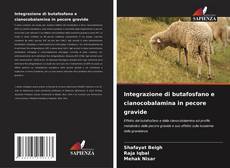 Bookcover of Integrazione di butafosfano e cianocobalamina in pecore gravide