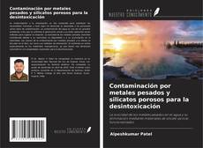 Capa do livro de Contaminación por metales pesados y silicatos porosos para la desintoxicación 