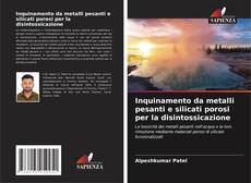 Bookcover of Inquinamento da metalli pesanti e silicati porosi per la disintossicazione