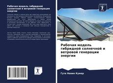Portada del libro de Рабочая модель гибридной солнечной и ветровой генерации энергии