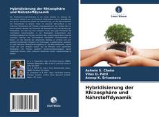 Обложка Hybridisierung der Rhizosphäre und Nährstoffdynamik