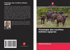 Copertina di Fisiologia das novilhas búfalas egípcias